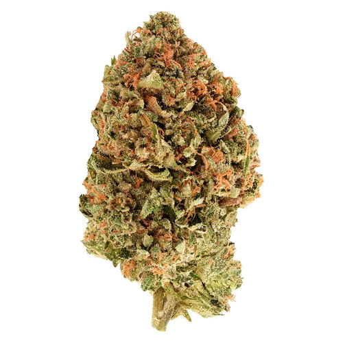 Product image of BC Organic Tea Time #7 - Simply Bare - Dried Flower