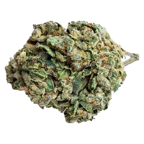 Product image of Death Punch - Soar - Dried Flower