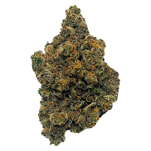 Product image of Mango Fuel - Clem & Co - Dried Flower