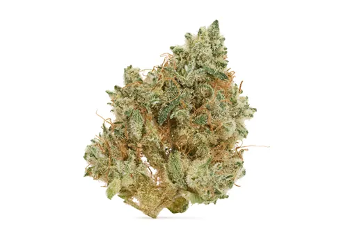 Product image of Black Lime Special Reserve - Choklit Park - Dried Flower