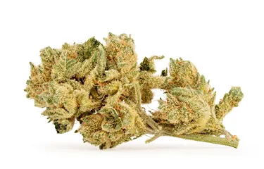 Product image of Banana Mango - BC Weed Co. - Dried Flower
