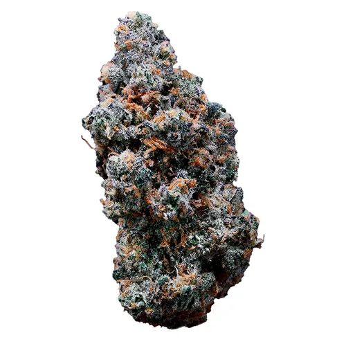 Product image of BC's Finest - Pistol and Paris - Dried Flower