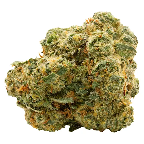 Blue Thai - Spinach - Dried Flower