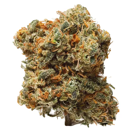 Product image of Blue Dream - 1964 - Dried Flower