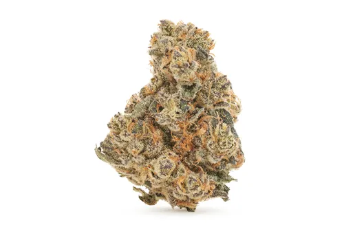 Product image of Golden Pineapple - Choklit Park - Dried Flower
