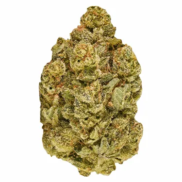 Product image of Inzane in the Membrane - Good Supply - Dried Flower