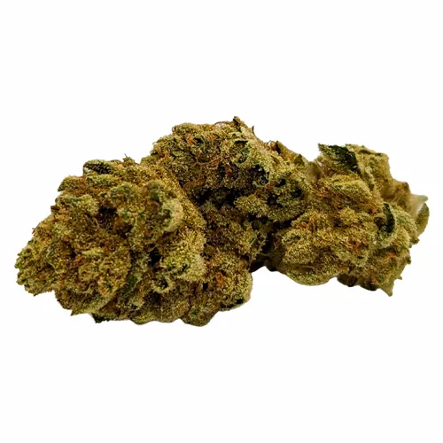 Animal Face - Dykstra Greenhouses - Dried Flower