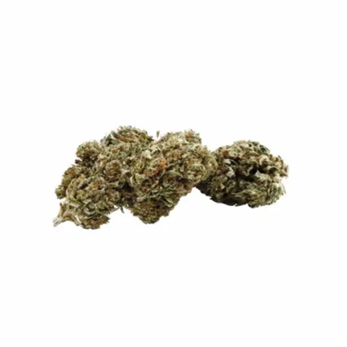 Product image of Certified Organic CBD Flower - Grown Here Farms - Dried Flower