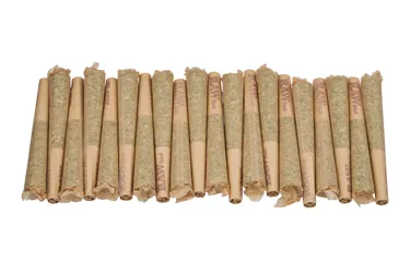 Product image of Alien Gushers - BC Green - Joints