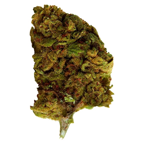 Bubba Kush - Versus - Dried Flower