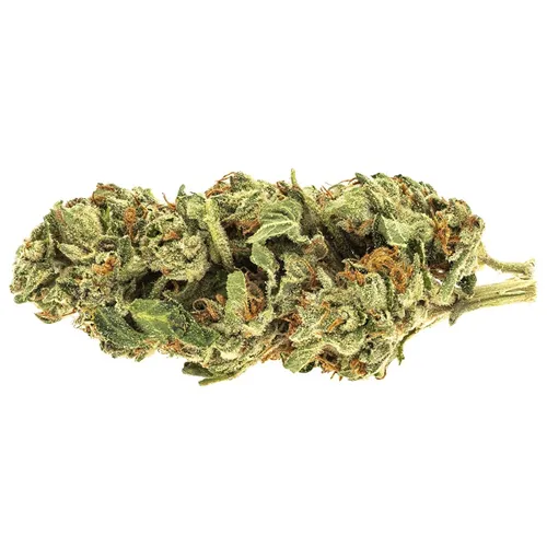 Product image of Hawaii Heartbreak - RIFF - Dried Flower