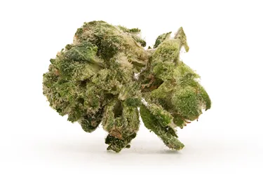 Product image of Blueberry Marker Smalls Otb - Pistol and Paris - Dried Flower