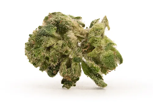 Product image of Blueberry Marker Smalls Otb - Pistol and Paris - Dried Flower