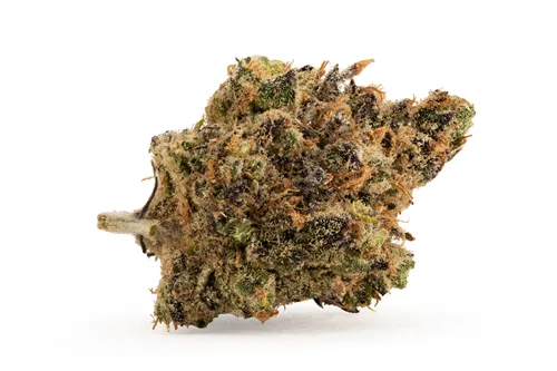 Product image of BC Lemonade Gushers - Pineapple Buds Inc. - Dried Flower