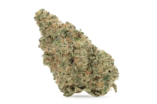 Product image of BC Sourdough - Pure Sunfarms - Dried Flower
