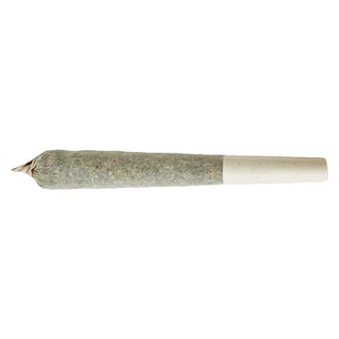 Product image of Rainbow Razz Distillate - XPLOR Level X - Infused Joints