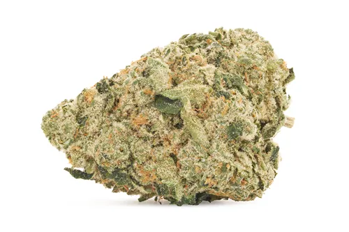 Jet Fuel Pie - Big Bag O' Buds - Dried Flower