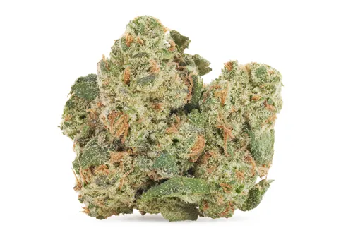 Product image of Hawaiian Melon - BC OZ - Dried Flower