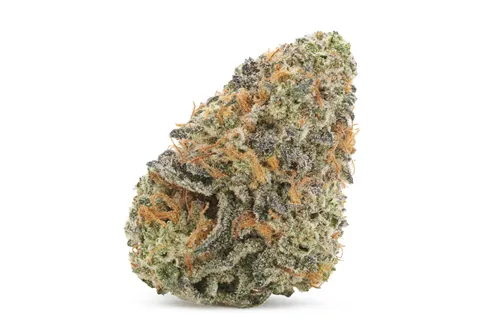 Product image of Cookie God - Good Buds - Dried Flower