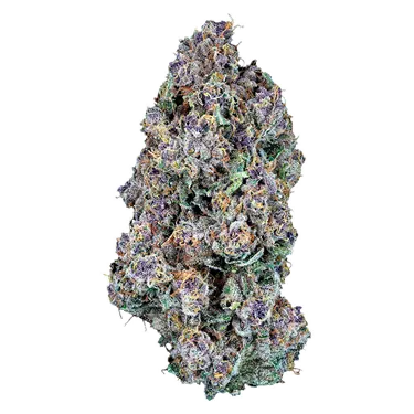 Product image of Blue Gumdrops - Woody Nelson Country Club - Dried Flower