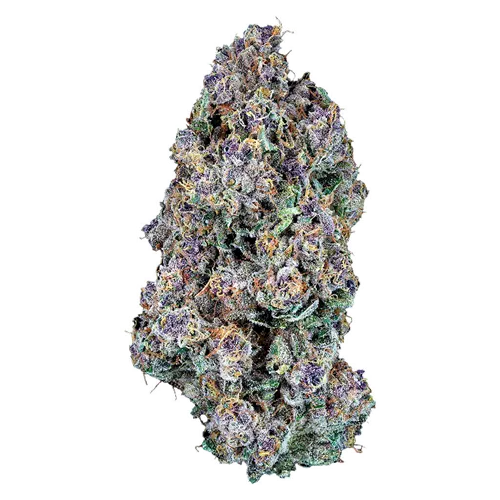 Product image of Blue Gumdrops - Woody Nelson Country Club - Dried Flower