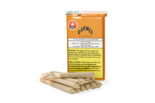 Animal Face - Carmel - Joints