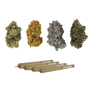 Product image of Collective Variety Pack - Qwest - Mixed Format Variety