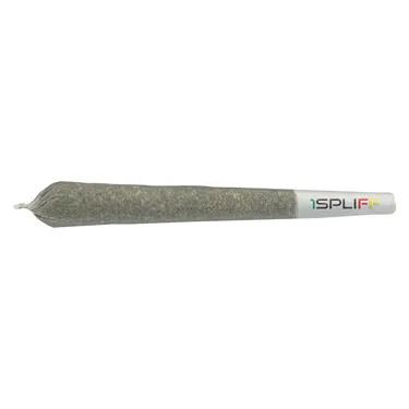 Product image of Biscotti - 1Spliff - Joints