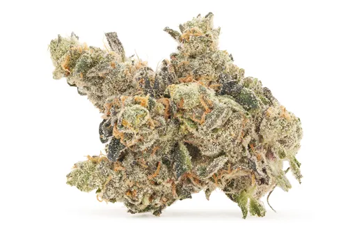 Flavours - Pistol and Paris - Dried Flower