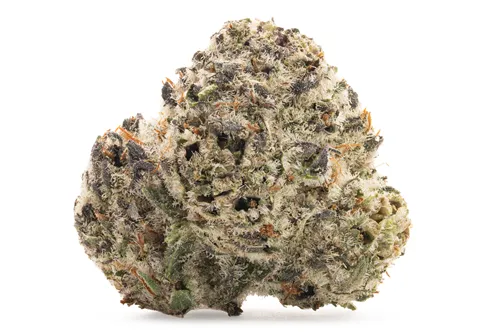 Product image of Where's My Bike? - Good & Baked - Dried Flower