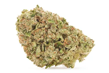 Product image of BC Organic Luv Affair - Simply Bare - Dried Flower