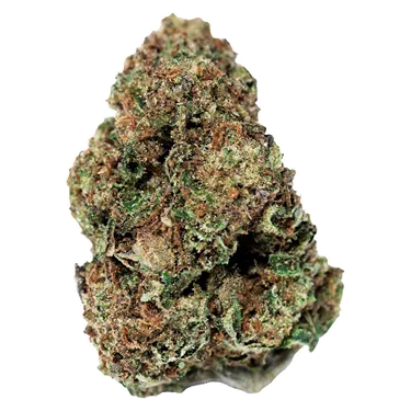 Product image of Apricot Head - Jonny Chronic - Dried Flower