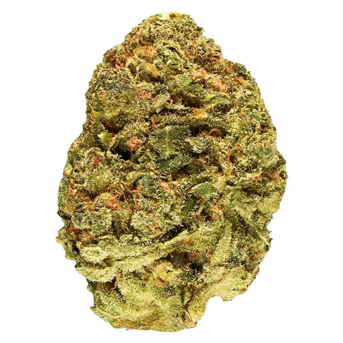 Product image of Melon Dream - Good Supply - Dried Flower