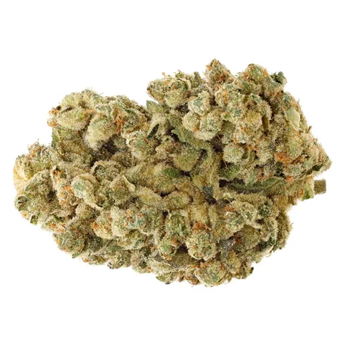 Product image of Sourdough - San Rafael '71 - Dried Flower