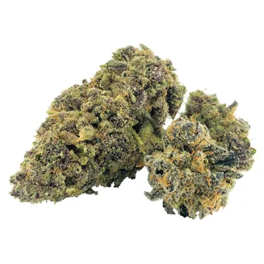 Product image of Hawaiian Pineapple - Pineapple Buds - Dried Flower
