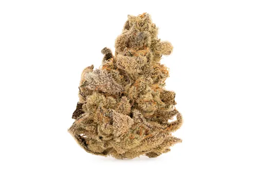 Product image of Fruit Loops Kush - Weeds - Dried Flower