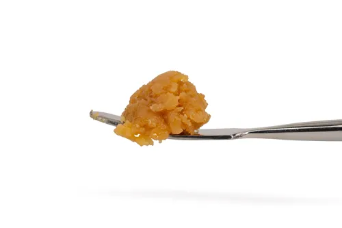 Product image of Northern Apple Jaxx Live Rosin - Earthwolf Farms - Rosin