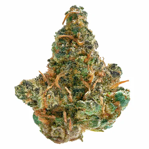 Product image of Frosted Cream Puffs - Spinach - Dried Flower
