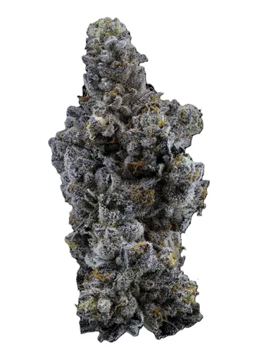 Product image of Limelight Petites - Sweetgrass Cannabis - Dried Flower