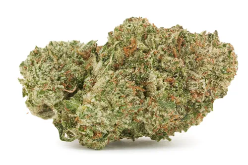 Product image of Comatose - 1964 - Dried Flower