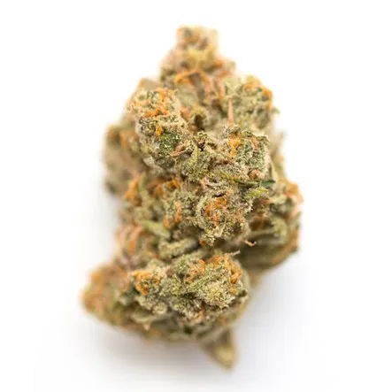 Product image of Northern Lights #5 - Crooked Dory - Dried Flower