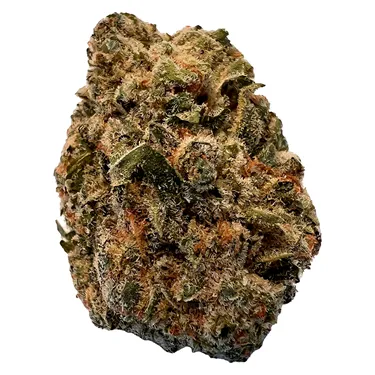 Product image of BC Purple Kush - Versus - Dried Flower