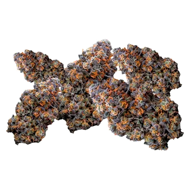 Product image of Tropical Pressure - Your Highness - Dried Flower