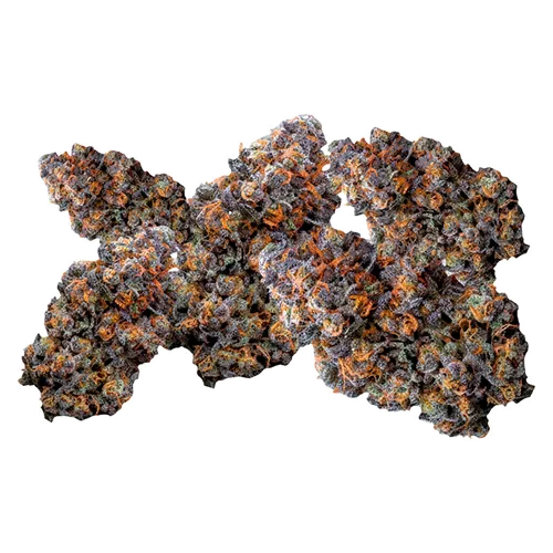Product image of Tropical Pressure - Your Highness - Dried Flower
