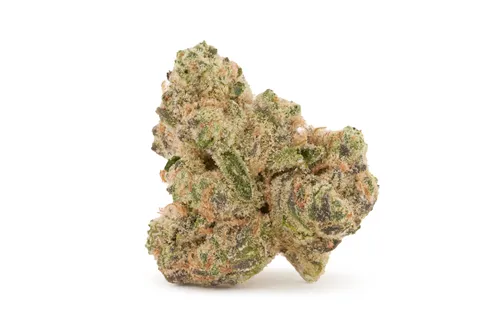 Death Star - BOLD - Dried Flower