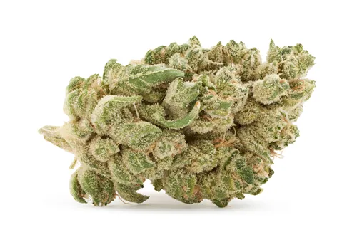 Jungl' Cake - MTL Cannabis - Dried Flower