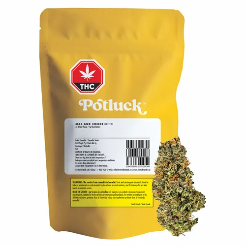 Mac and Cheese - Potluck - Dried Flower