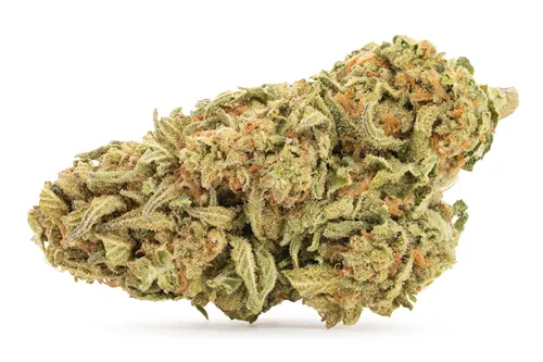 Product image of Gelato Sweet Tea - Good & Baked - Dried Flower