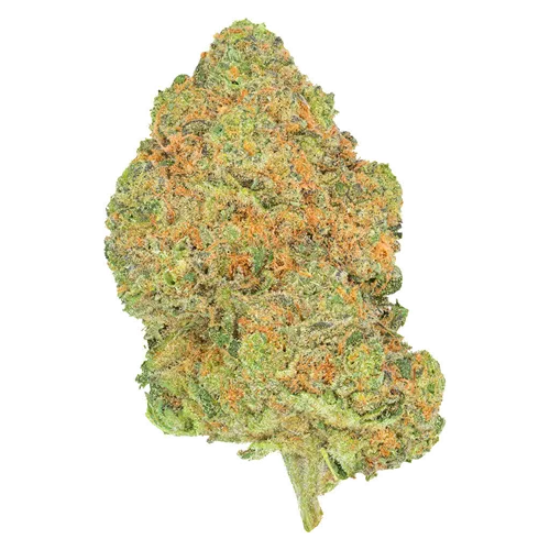 Product image of Black Jelly - San Rafael '71 - Dried Flower