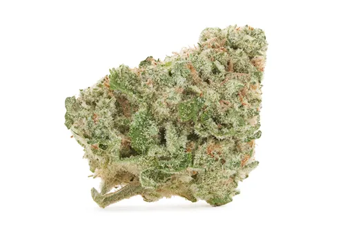 Product image of MAC Donut - Salt Spring Magic - Dried Flower